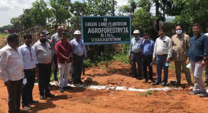 Visakhapatnam: Greenland plantation inaugurated at RINL
