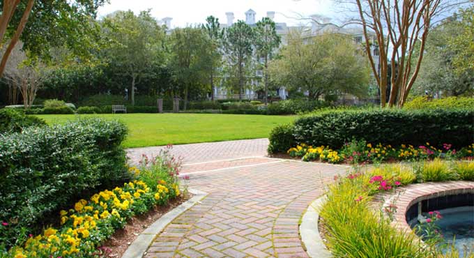 Researchers find how plants become good neighbours in times of stress