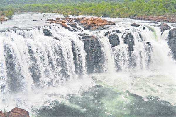 Bogatha waterfalls comes alive with recent rains, opens for visitors