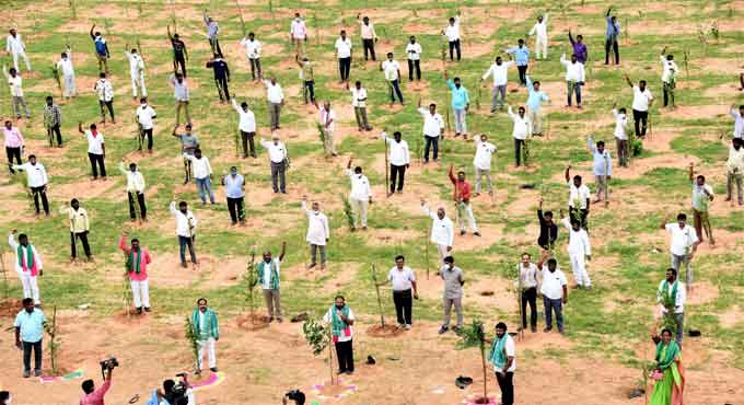 3.20 crore saplings planted to mark KTR’s birthday