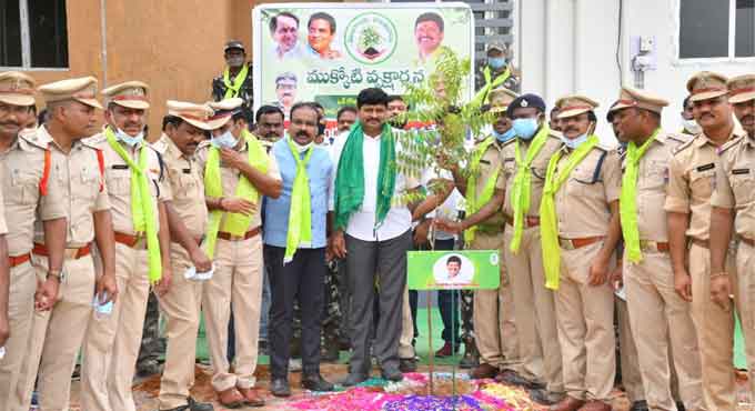 KTR’s birthday: 10,000 saplings planted at Godavarikhani stadium