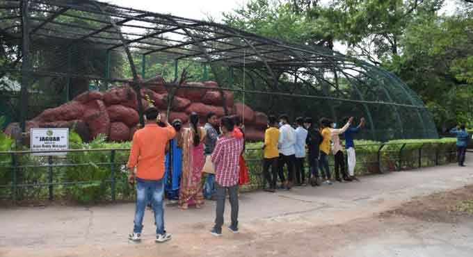 Hyderabad zoo abuzz with visitors on reopening day