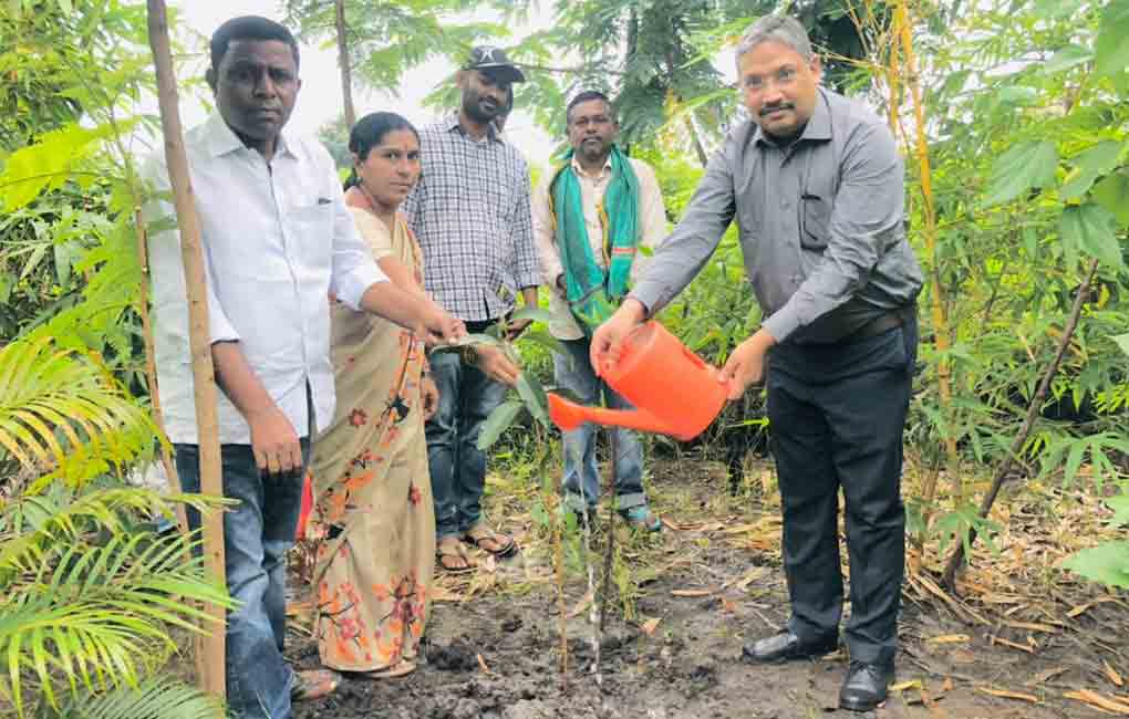 Centre lauds Palle Prakriti Vanam drive in Adilabad