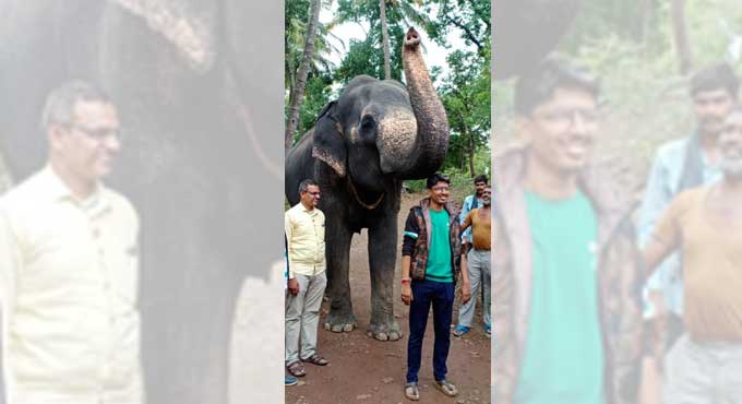 Bibi-ka-Alam_elephant
