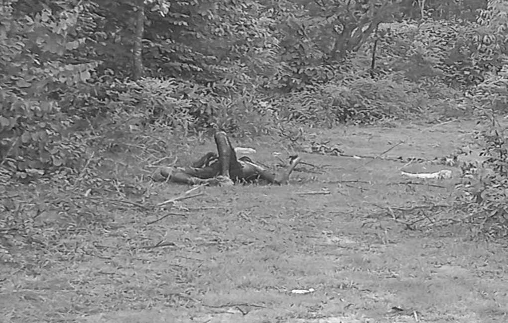 Charred body of man found in Medak