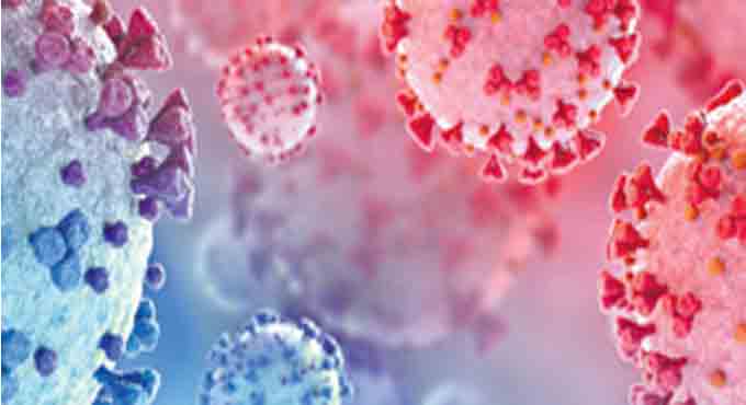 Coronavirus origin linked to China’s Mojiang mines?