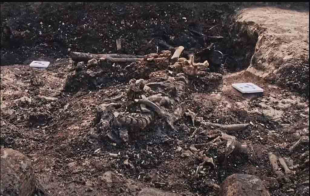 World War II execution site: Mass grave discovered in Poland 