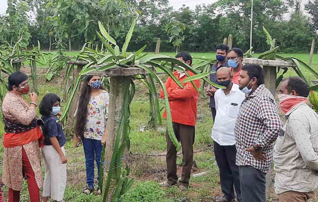 Siblings from Mancherial fulfil late father’s dream, raise dragon fruit crop