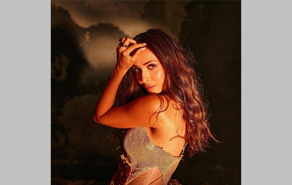 Malaika Arora joined modeling to make some quick pocket money!