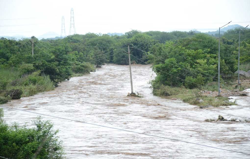 Siddipet district records excess rainfall in Telangana