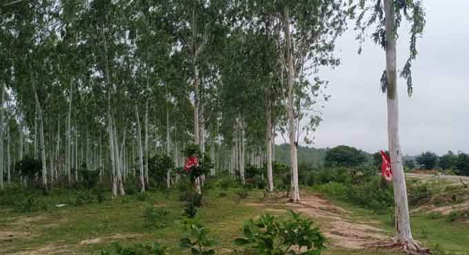 Maoist flags, poster create panic among public in Sircilla