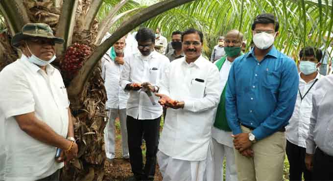 Telangana spending Rs 60,000 crore on agri sector: Niranjan Reddy