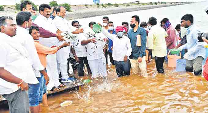 Nirmal sees steady growth in fish production