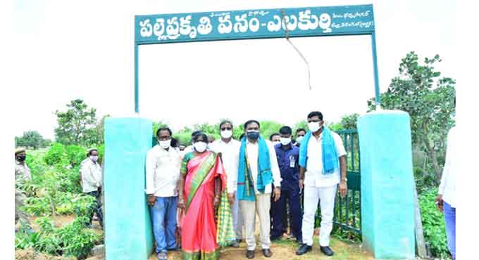 Bruhat Palle Prakruthi Vanams to come up in erstwhile Warangal