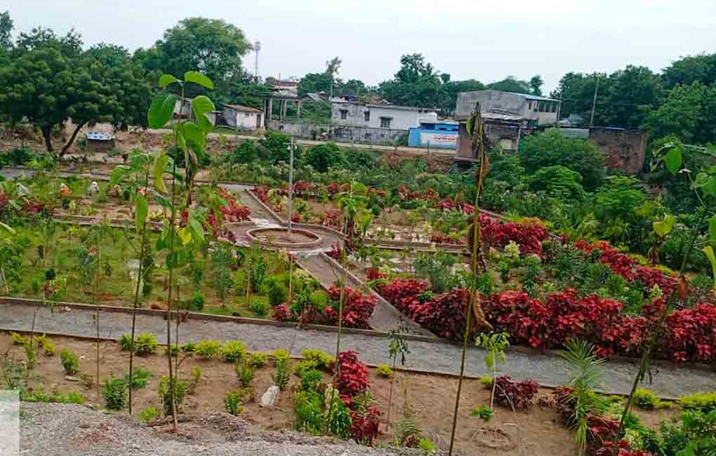 Telangana: 19,472 Palle Prakruthi Vanams developed in a year