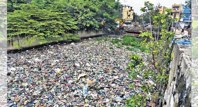Hyderabad citizens