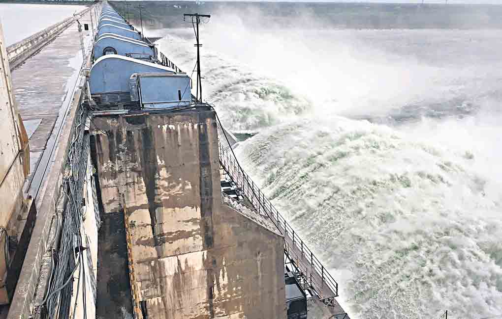 24 gates of SRSP lifted after heavy inflows
