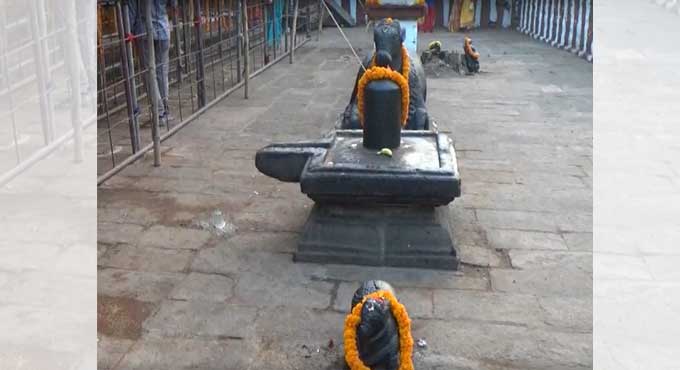 Ancient Nandi idol stolen from Bikkavolu temple in Andhra Pradesh