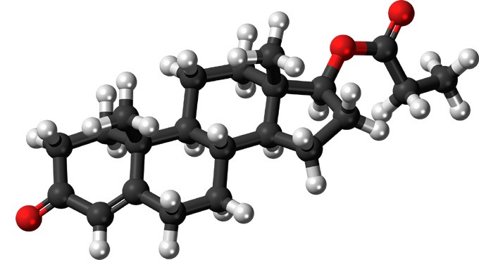 Study finds if testosterone influences success
