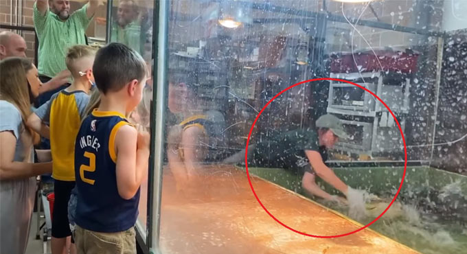 Watch: Alligator snaps the handler’s arm at a birthday party