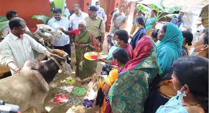 Sangareddy: Bullocks donated to DDS farmers
