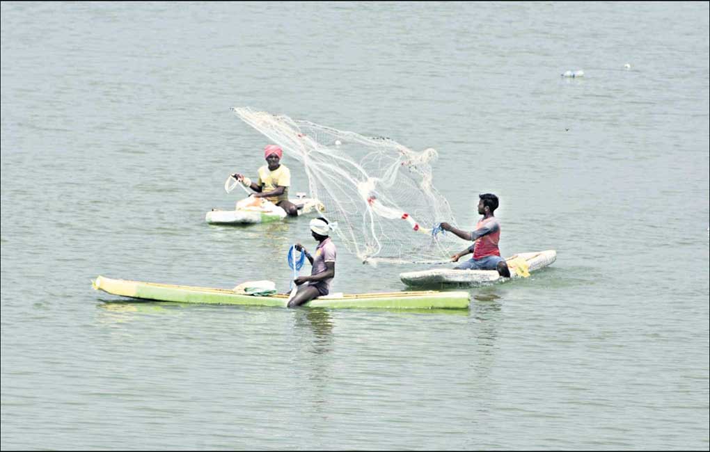 Stage set for release of fishlings into 1,280 irrigation tanks in Nalgonda