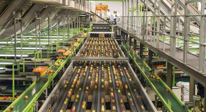 Food Processing Zones