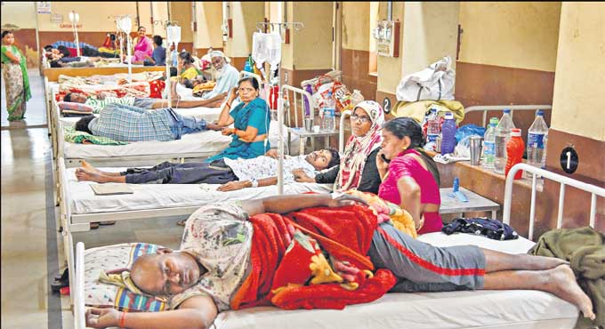 Dengue, viral fever cases rise in Hyderabad