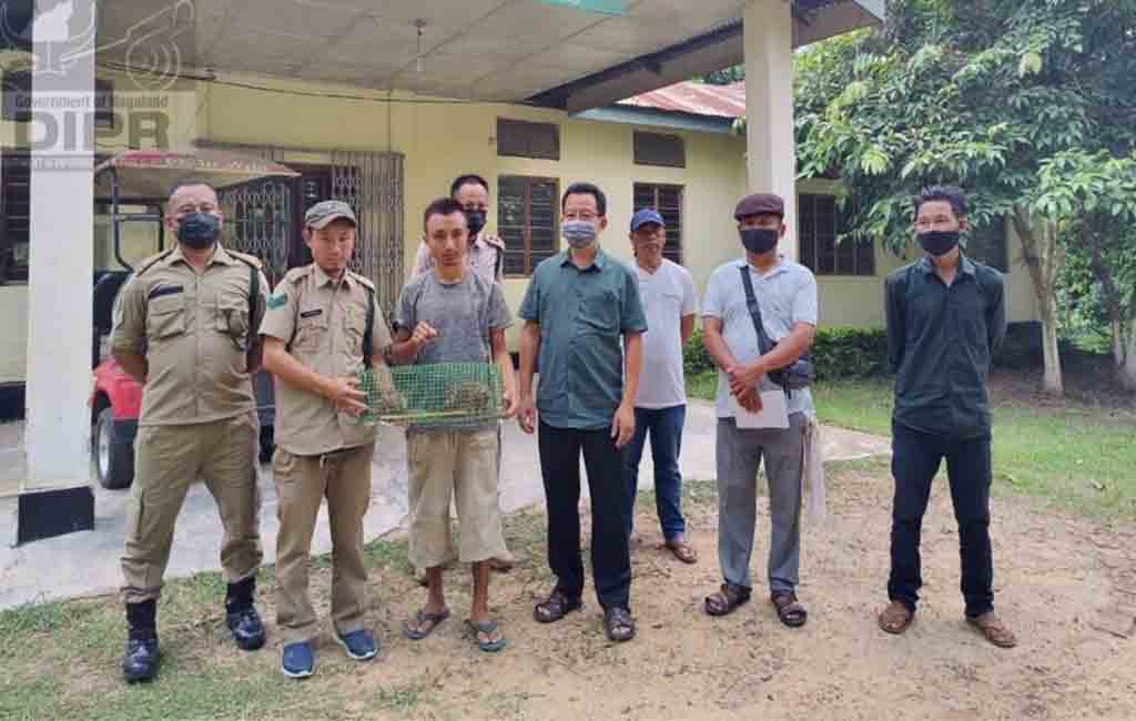 Teenagers rescue leopard cubs in Nagaland