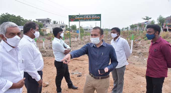 Collector instructs officials to focus on avenue plantation in Nalgonda