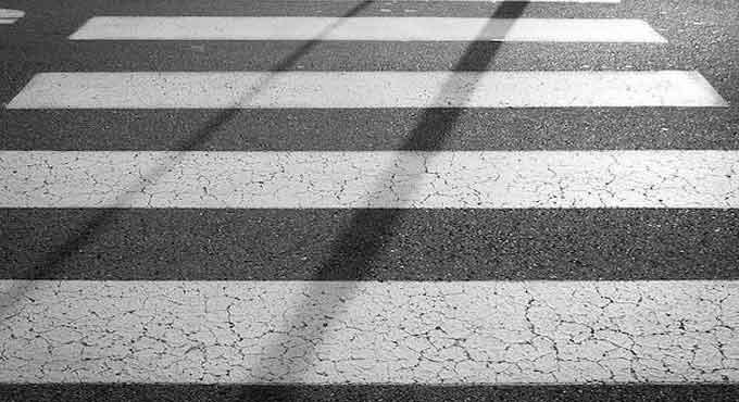 traffic police