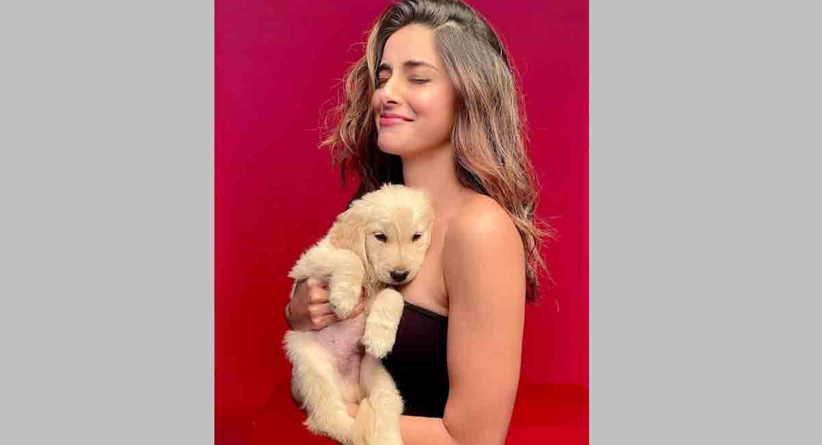 You won’t believe who Ananya Panday is shooting with!