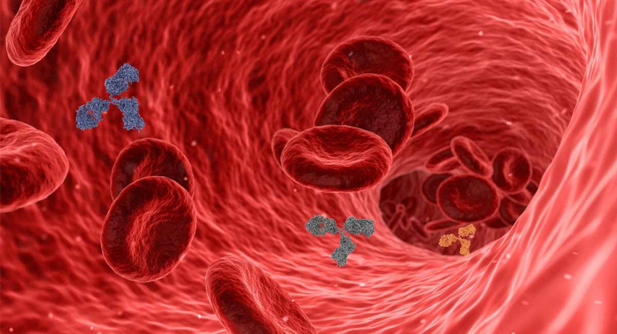 Antibodies from Covid’s original strain don’t bind to variants: Study