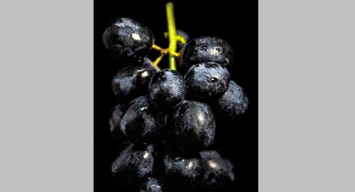 Black foods are the new super-food