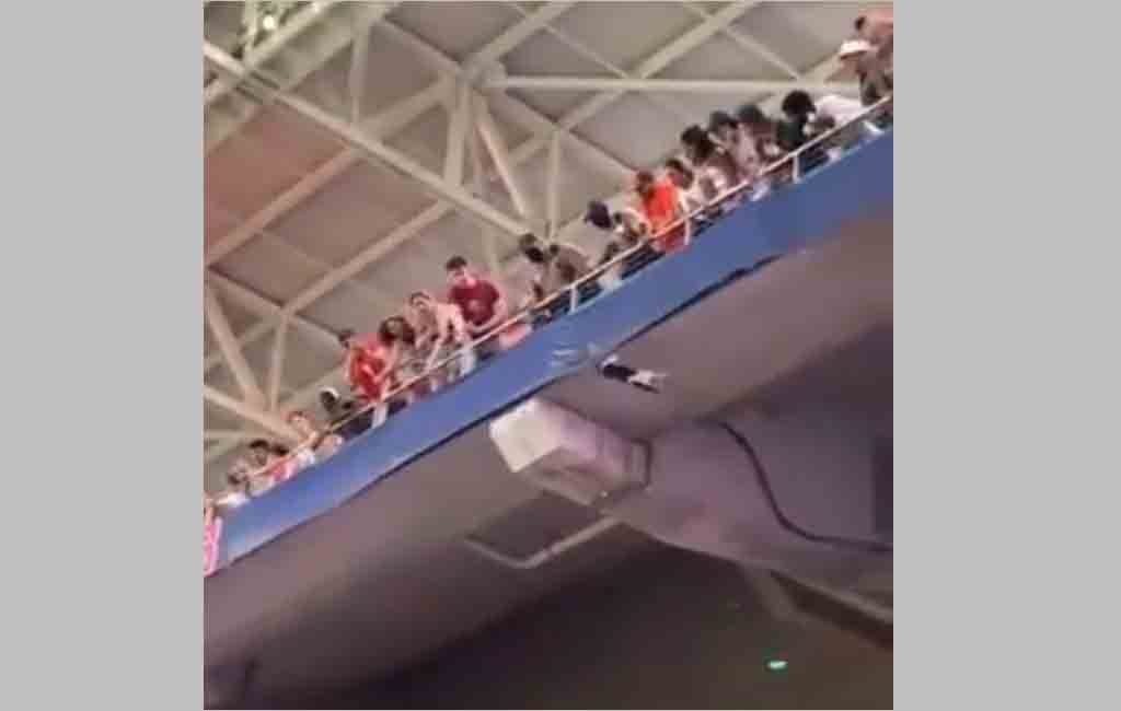 Video of cat’s dramatic rescue makes waves on the internet