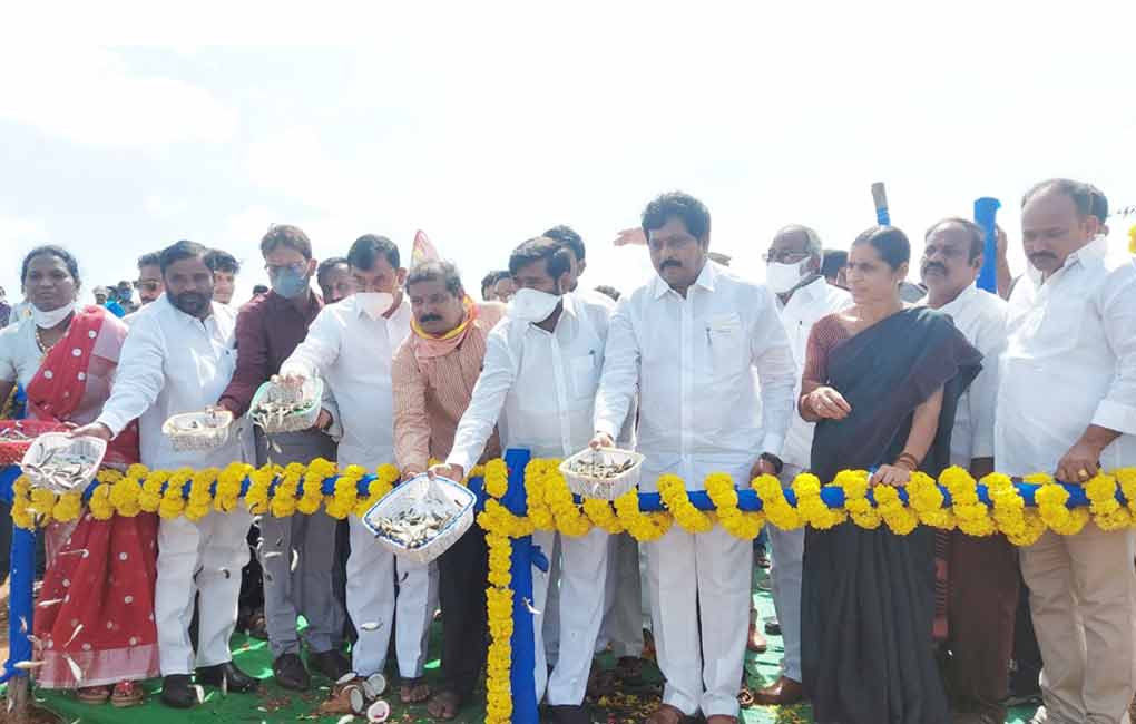 Telangana witnessing blue revolution, says Energy Minister