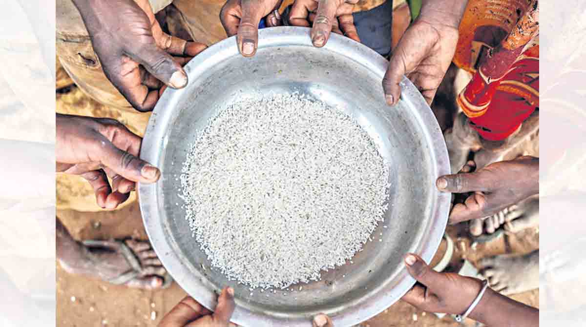 Opinion: Health and environmental costs of food production