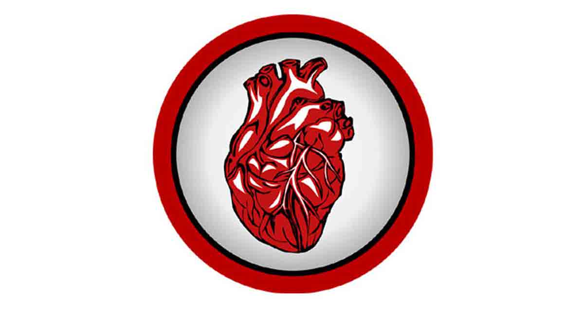 Myth or Fact: Exercise must be avoided after a heart attack