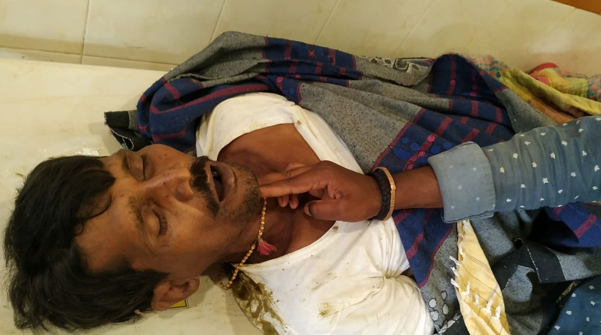 Sangareddy: Farmer falls off tree after bee attack, dies