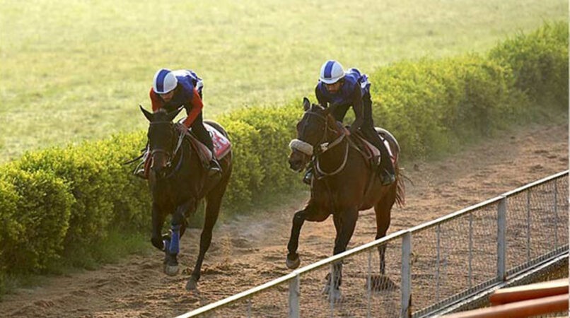 Cosmic Run, Scramjet impress in morning trials