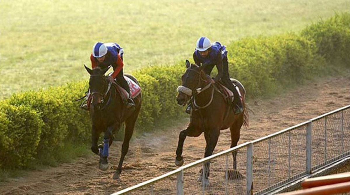 Warrior Thrive may score in Delhi feature