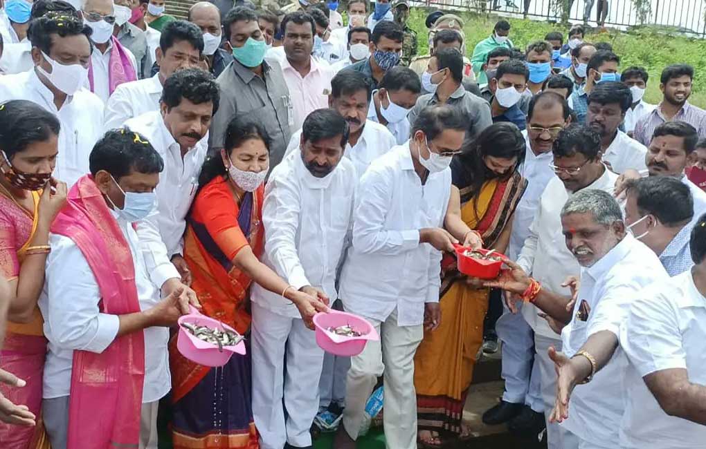 Fish production increased multiple times in Telangana: Jagadish Reddy