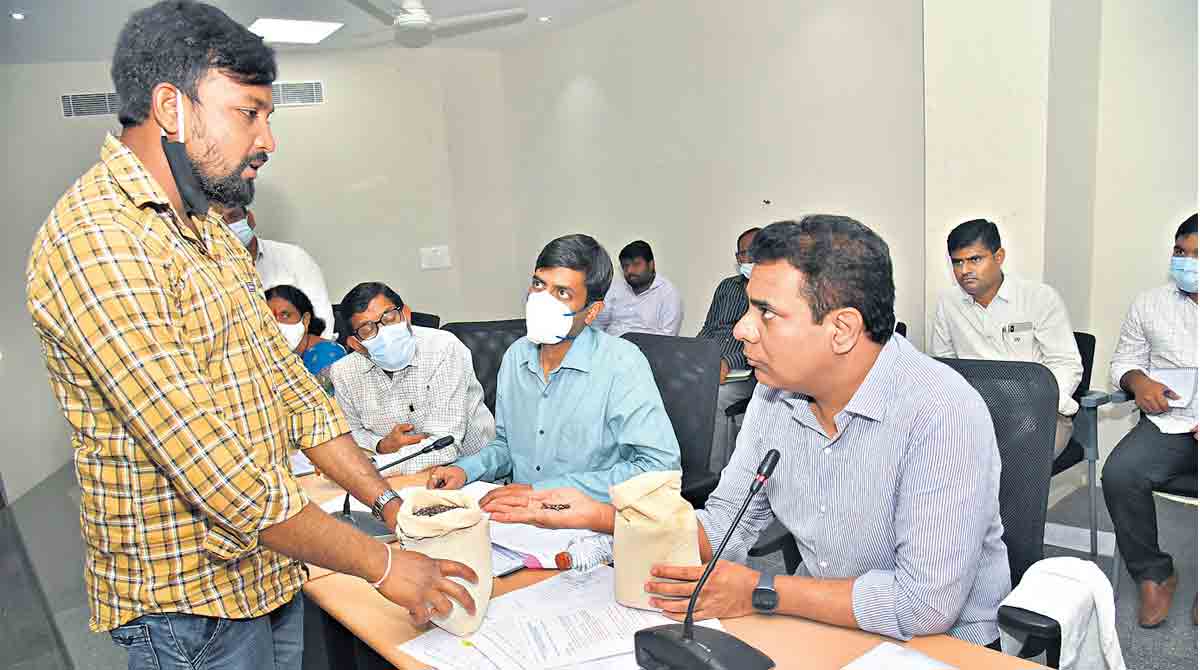 Shift to alternative crops: KTR tells farmers