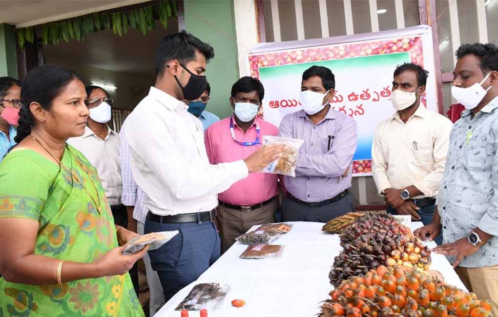 Kothagudem collector asks officials to promote oil palm cultivation