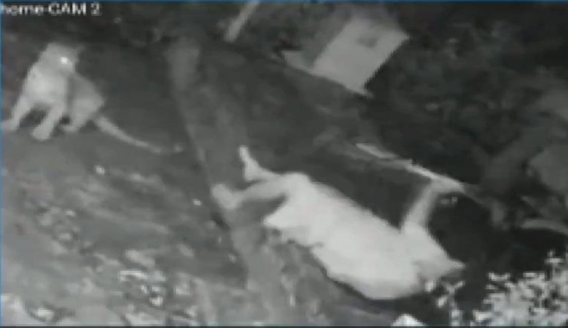 Watch: Mumbai woman escapes mauling, scares off leopard with her walking stick!