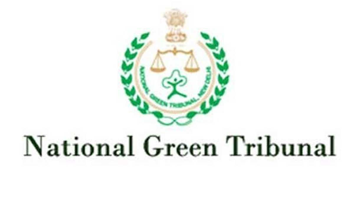 NGT pulls up AP government over RLIS works
