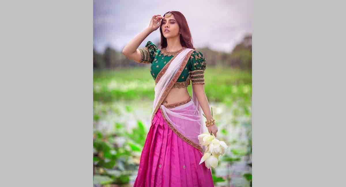 Nabha Natesh avoided herself being compared with Apte