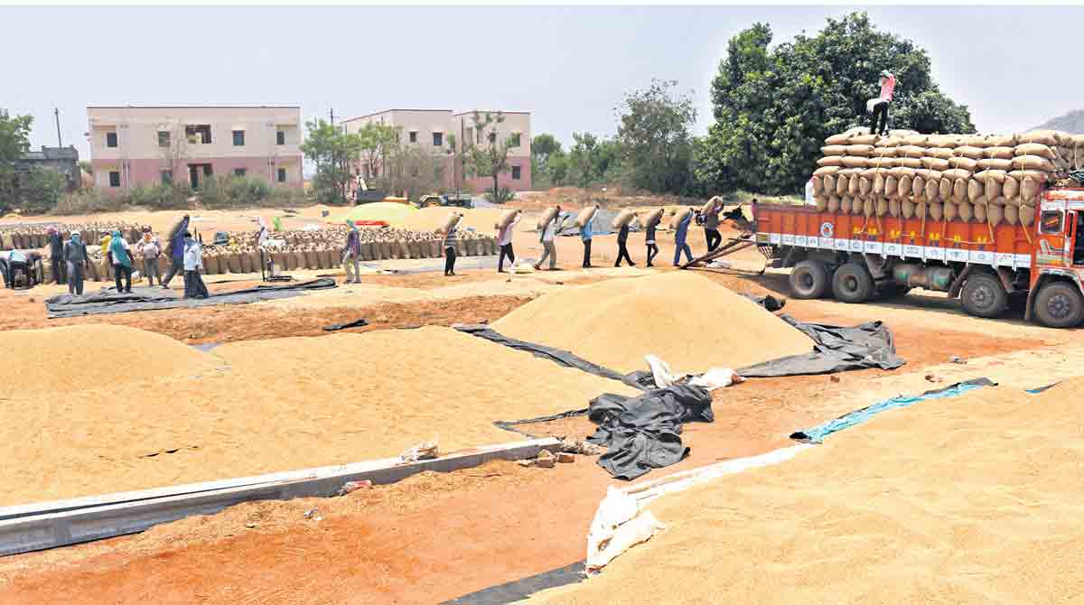 Telangana’s paddy production to hit 1.6 crore tonnes