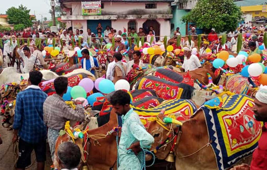 Adilabad ryots celebrate farm animals