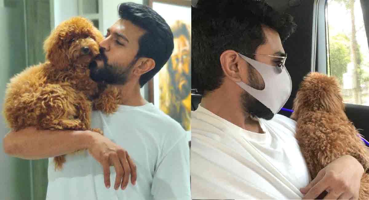 Ram Charan is all hearts for his Poodle pup; check out